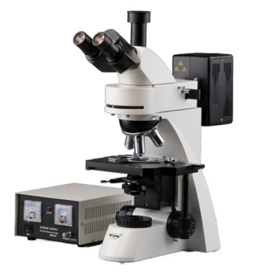 PSAW FLUORESCENCE MICROSCOPE (SEMI MOTORISED)